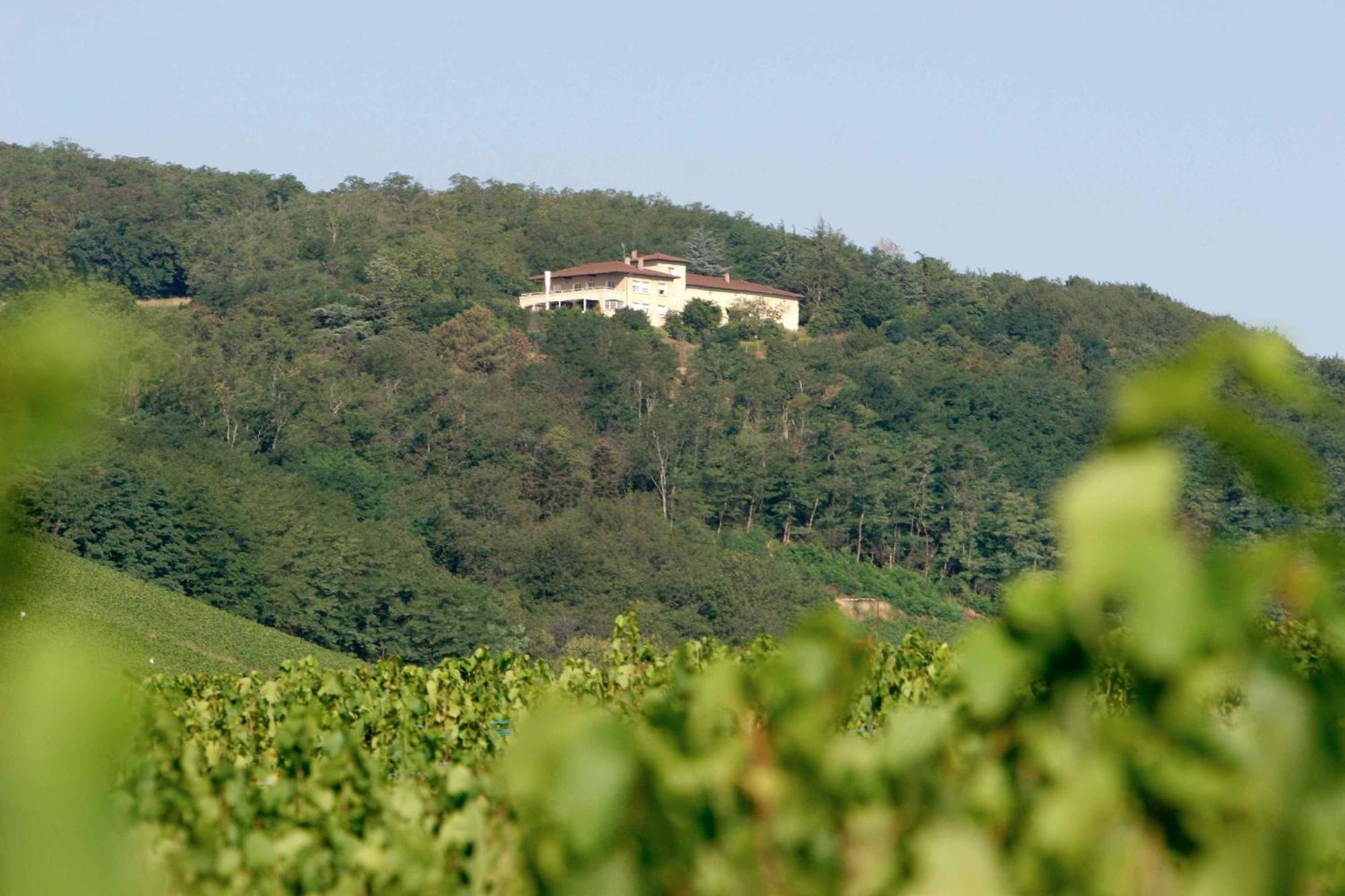 Auberge Les Hauts De Chénas 외부 사진